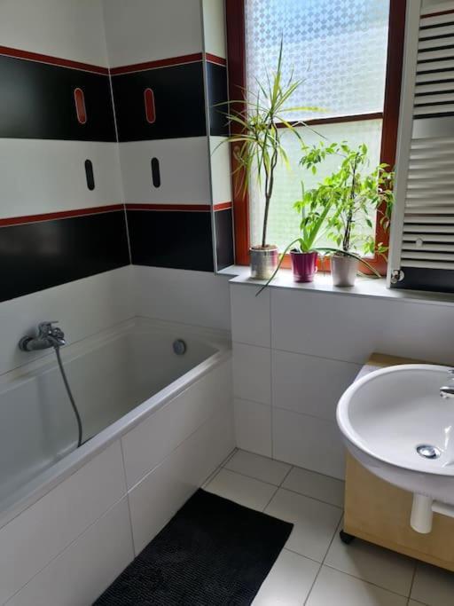 Comfortable Apartment! ปราก ภายนอก รูปภาพ